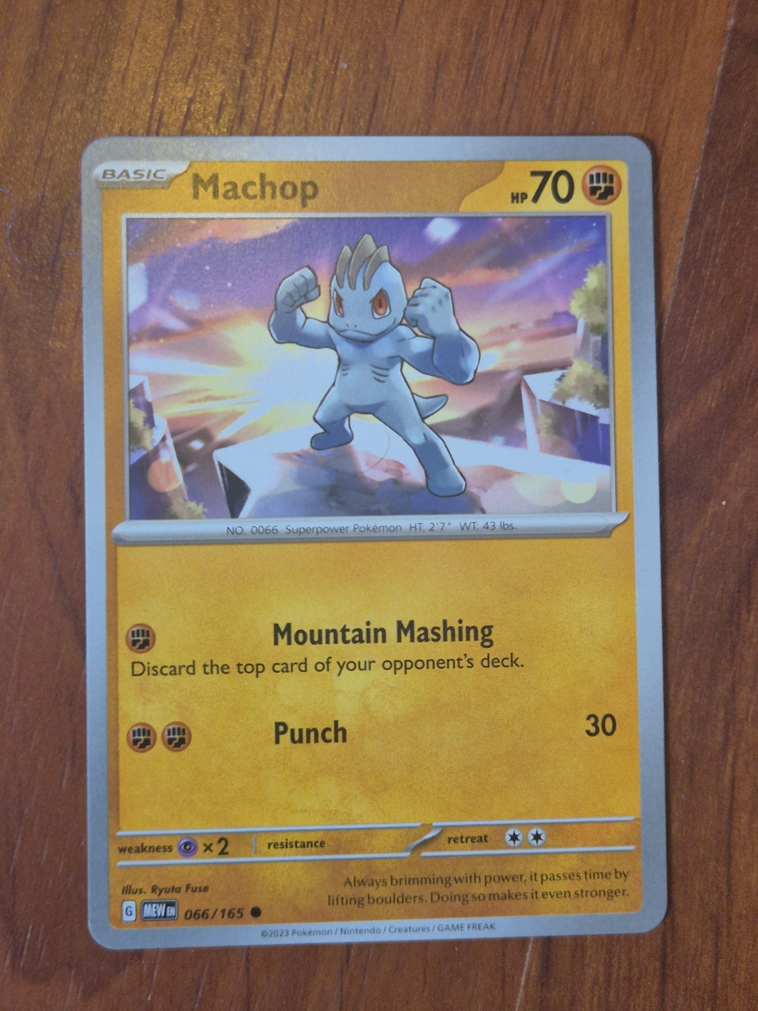 Nexocards Winkel Overzicht